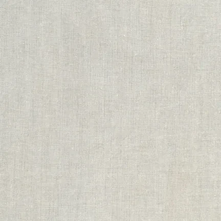 Dreamweaver Chambray in Fog | per 10cm