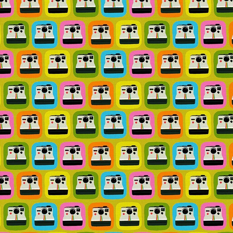 Paintbrush Studio Say Cheese Multi