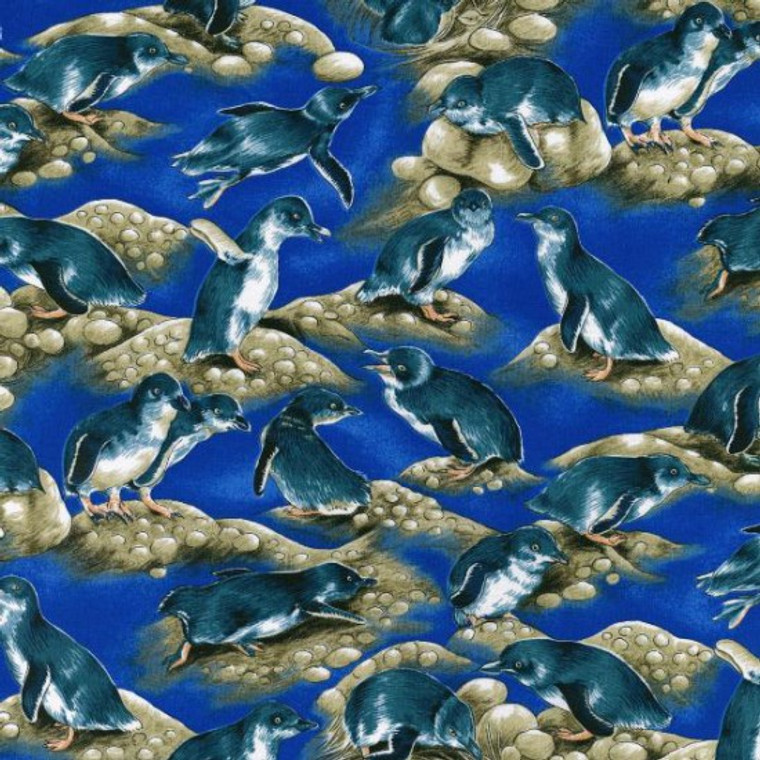 Little Blue Penguin | per quarter metre