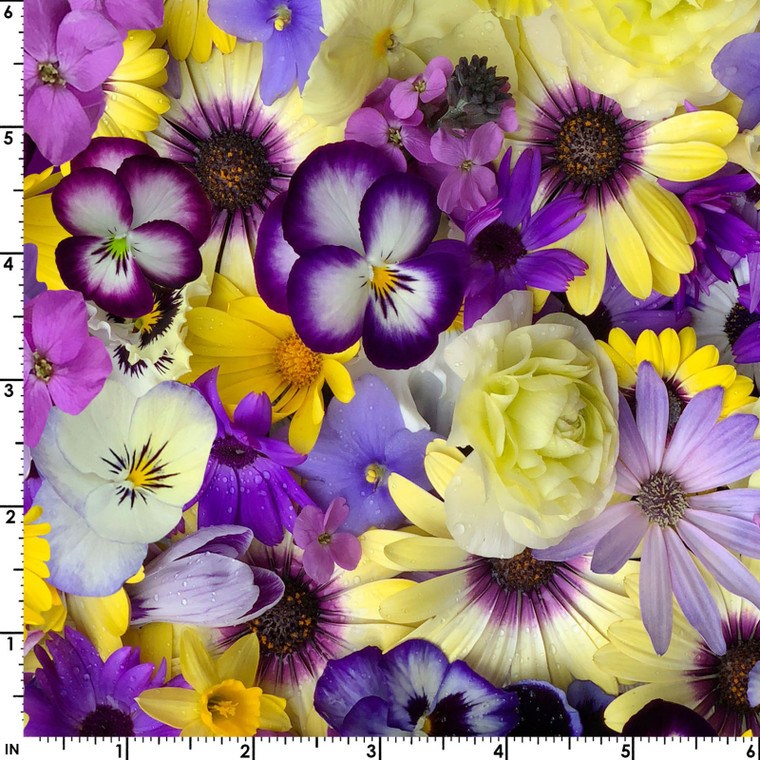 Purple & Yellow Blooms | Hand Picked : First Light by Nicholas Lapp | per half metre