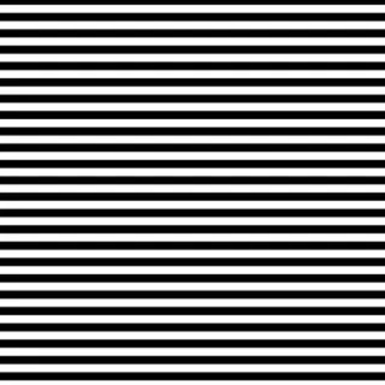 1/4" Stripes in Zebra | Building Blocks by Devonstone Collection | per quarter metre