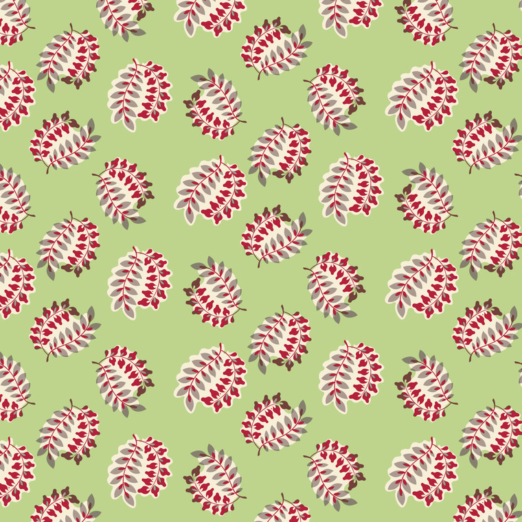 Peasholme Green | Winnifred | per 10cm