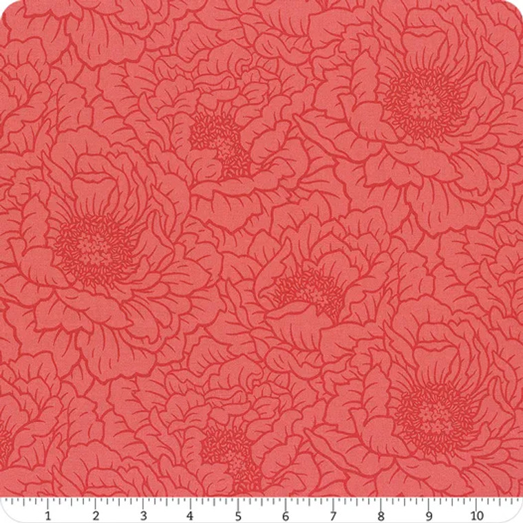 Peony in Coral | Full Bloom | per 10cm