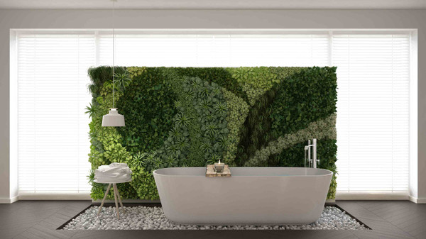 Beautiful Bathroom Plant Ideas