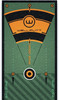 WellPutt - Golf Putting Training Mat - Classic Green 3M/10ft