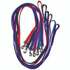 Coastal Pet Products Leash Dog 2906 Black Nylon 6'