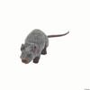 12.25" Sewer Rat