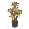 New Nearly Natural 19.5” Echeveria Plant