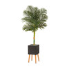 New Nearly Natural 6’ Golden Cane Artificial Palm Tree In Black Planter With Stand