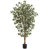 New Nearly Natural 6’ Hawaiian Ficus Tree X 3 W/1008 Lvs