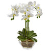 New Nearly Natural 22” Triple Phalaenopsis Orchid In Glass Vase