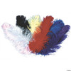 Morris Custumes Women's Jumbo Ostrich Plumes One Size Multiple Colors