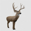 NEW Rinehart 18011 Signature 3D Mule Deer Archery Shooting Target