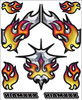 New Xxx Main Racing Chromal Blaze Internal Graphic