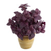 New Nearly Natural 12” Basil Artificial Plant In Ceramic Planter In Burgundy