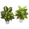 New Nearly Natural 19” Dieffenbachia Artificial Plant In White Vase Set Of 2
