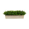 New Nearly Natural 19” Eucalyptus Artificial Plant In Decorative Planter