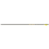 Gold Tip Hunter Pro Arrows 500 4 Fletch 6 pk.