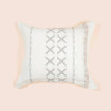Purecare Dr. Weil Sonoran Zippered Closure Pillow Sham In Size Euro