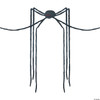 Giant Long-Legs Spider