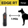 Dogtra Edge Rt 1-Mile Range Tube Shaped 3-Dog Expandable Dog Training E-Collar