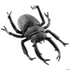 Seasons USA - BLACK BEETLE 8 INCHES - standard