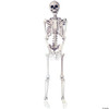 5' Skeleton Pose & Hold