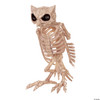 Crazy Bonez Skeleton Owl