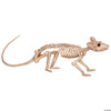 Crazy Bonez Skeleton - Rat Bonez