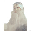 Wizard Beard and Wig Set White