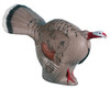 Rinehart Competition Series Gobbling Turkey Archery Hunting Target - ASA