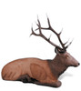 Rinehart Competition Series Bedded Elk Archery Target - ASA