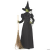 Witch Classic Deluxe Adult Med - MR147620MD Costume