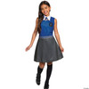 Harry Potter Ravenclaw Dress Classic Girls Costume, Blue & Gray, Kids Size
