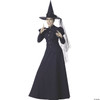 InCharacter Wretched Witch Adult Costume, X-Large Black, (CF1022XL)