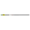 Wicked Ridge Lighted Alpha Brite Arrows Aluminum 20 in. 3 pk.