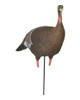 Banded Ghg Pro Grade Xd Upright Hen Turkey Decoy