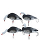 Banded Pro-Flex Full Body Pack Blue Goose Harvester 12 Pack