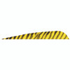 Gateway Barred Feathers Yellow 5 in. RW 50 pk.