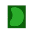 Cimarron Complete Par Saver Putting Green w/ Best Cut Fringe (Kidney) in 15'x19'