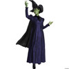 Disguise Wicked Elphaba Costume, Deluxe Official Wicked Elphaba Costume Cape and