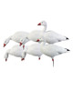 Banded Ghg Pro-Grade Full Body Snow Goose Harvester 6-Pack