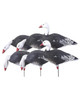 Banded Ghg Pro-Grade Full Body Blue Goose Harvester 6-Pack