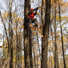 Rivers Edge RE672 Relax Wide LS Hunting Ladder Tree Stand