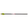 Excalibur Quill Crossbow Bolts 16.5 in. Illuminated Nocks 3 pk.
