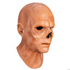 Adults Fallout Series The Ghoul Overhead Latex Mask