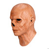 Adults Fallout Series The Ghoul Overhead Latex Mask