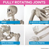 5 Ft. Life-Size Posable Skeleton Halloween Decoration