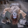 4 Ft. 3 1/4" Animated Life-Size Bent Backwards Creepy Lady Halloween Decoration