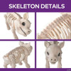 24 1/4" Standing Pig Skeleton Halloween Decoration